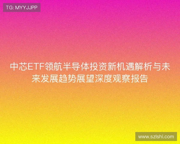 中芯ETF领航半导体投资新机遇解析与未来发展趋势展望深度观察报告